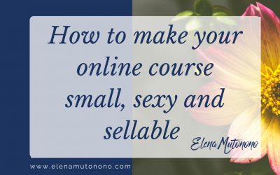 How to make your online course small, sexy and sellable.